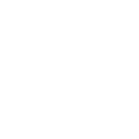 Icône LinkedIn